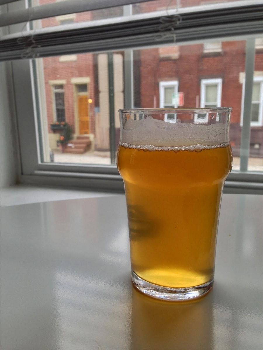 glass of beer in front of a window