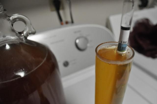 hydrometer next to 1-gallon glass jug fermenter