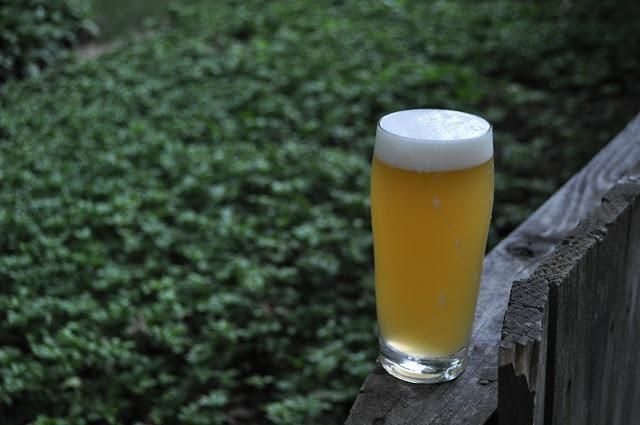 hazy yellow beer with white head