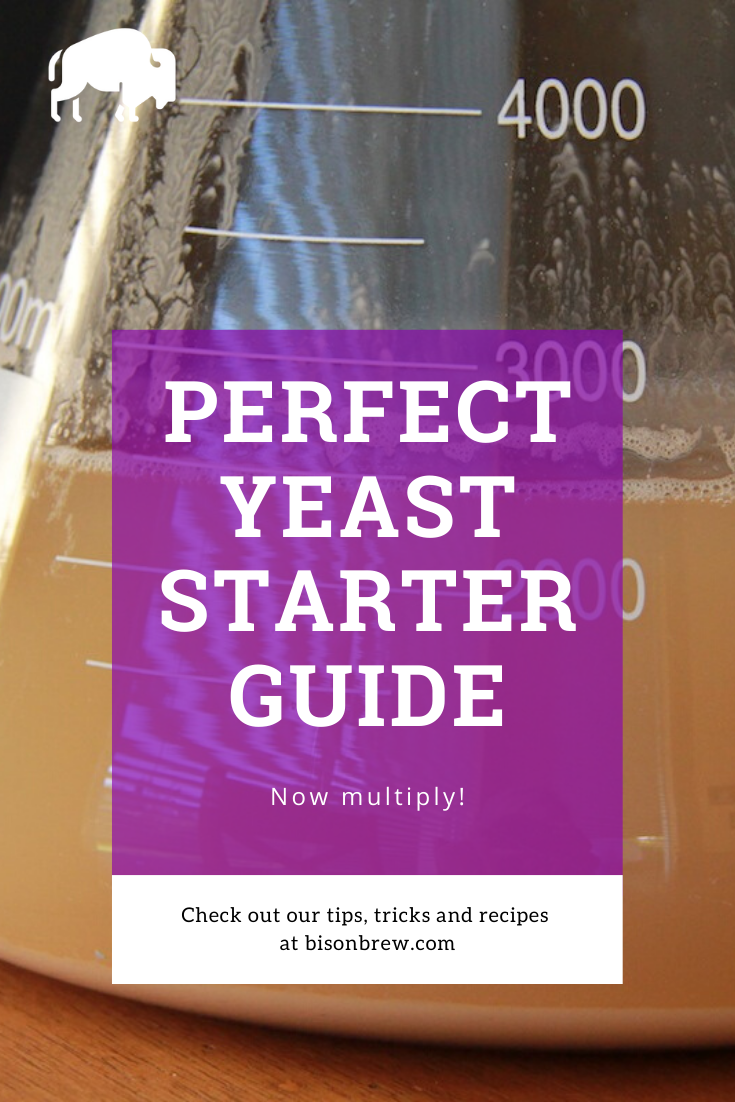 yeast starter yeast plate cell count