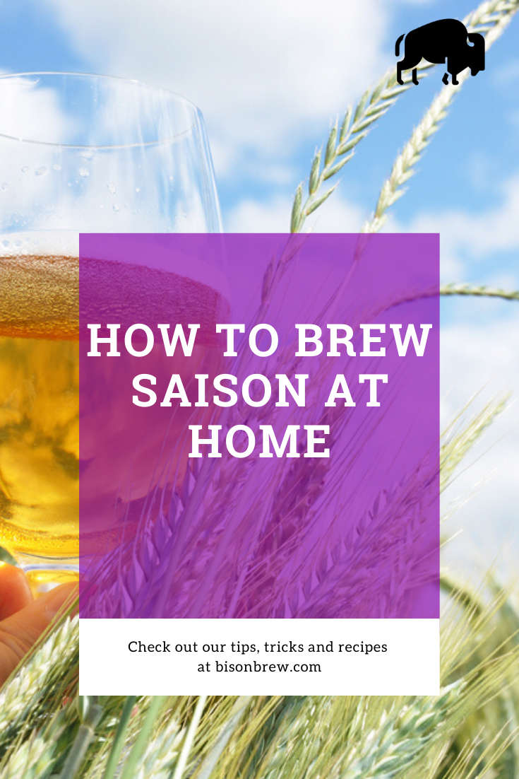 saison or farmhouse beer being held up to the sun in a field of wheat