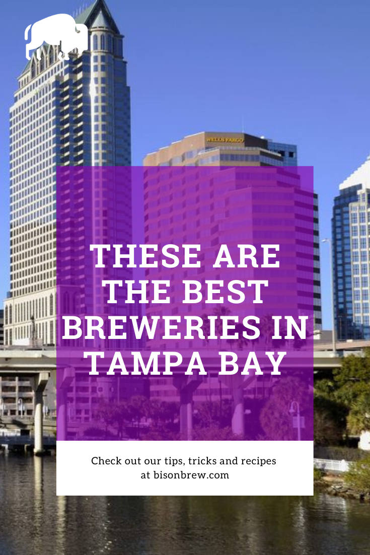Best Breweries In Tampa Bay Florida