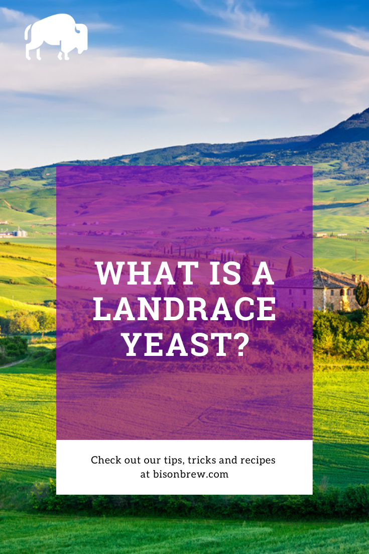 What Is Landrace Yeast