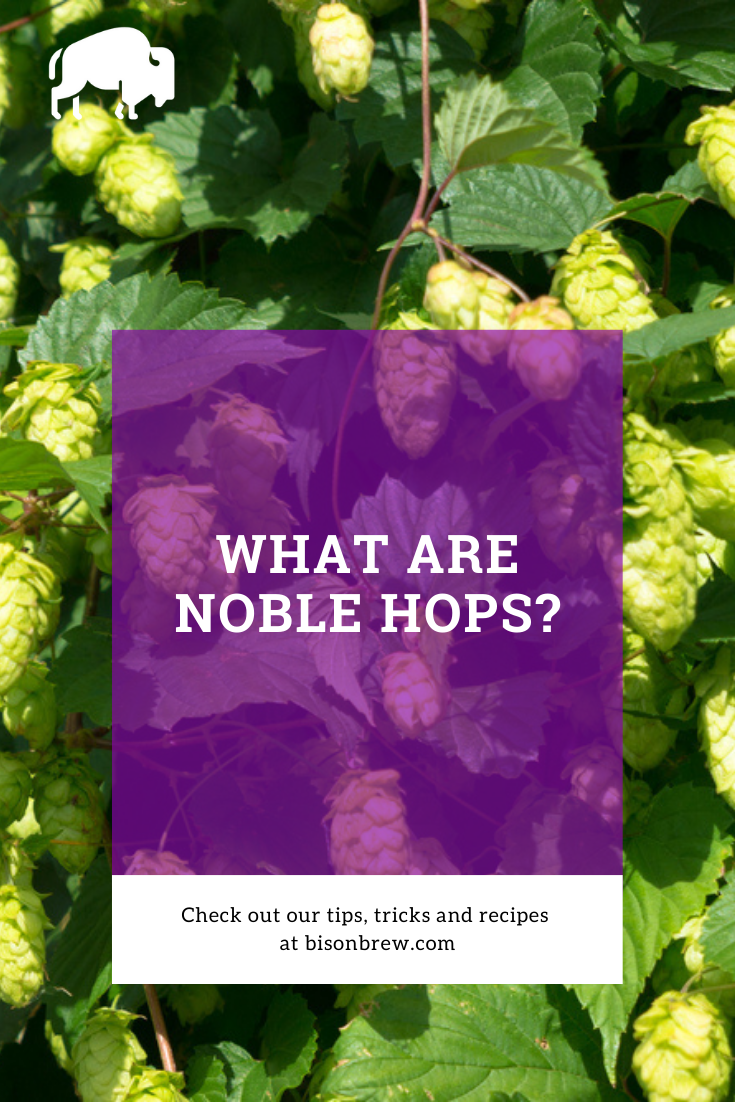 What Are Noble Hops?