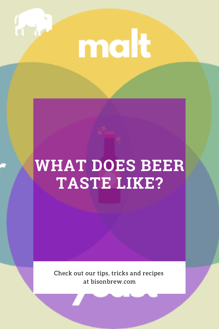What does beer taste like?