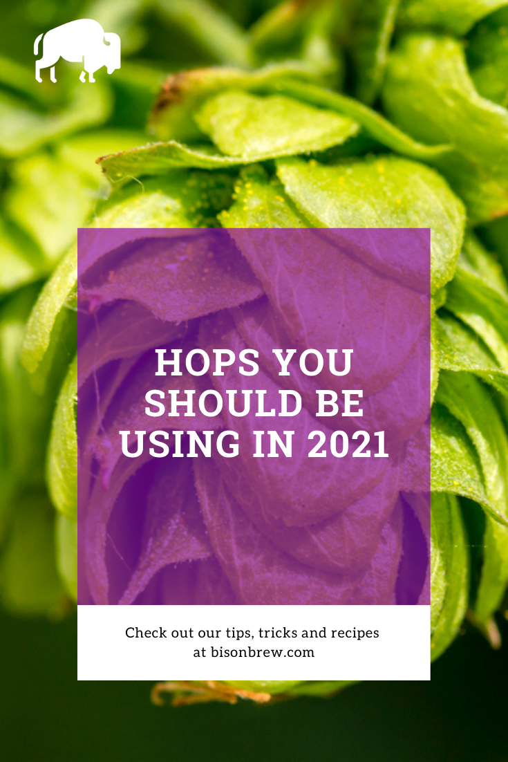 Hops You Should Be Using In 2021